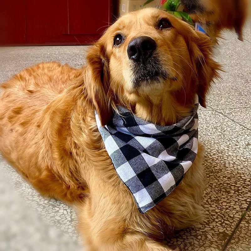 Dog Bandana Scarf — Cotton & Polyester, 6 Colors, Sizes S/M/L
