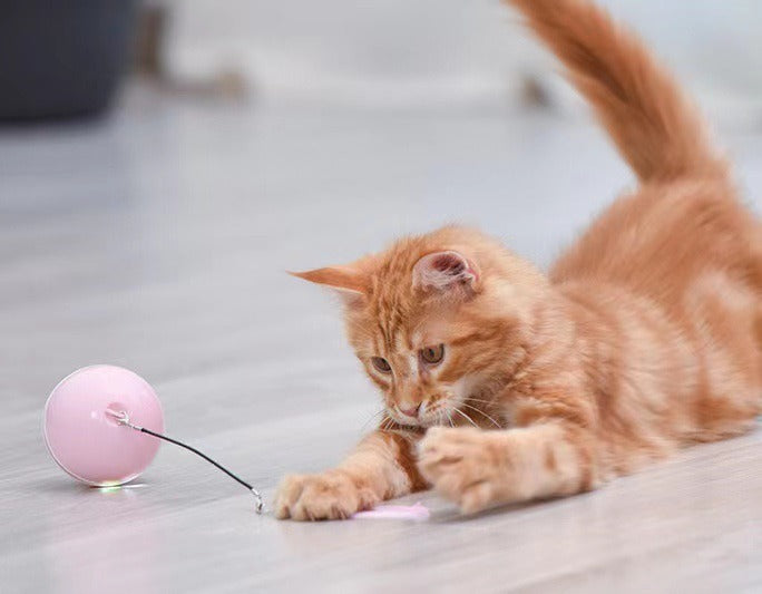 Automatic LED Rolling Cat Ball Toy — USB Rechargeable Smart Teaser