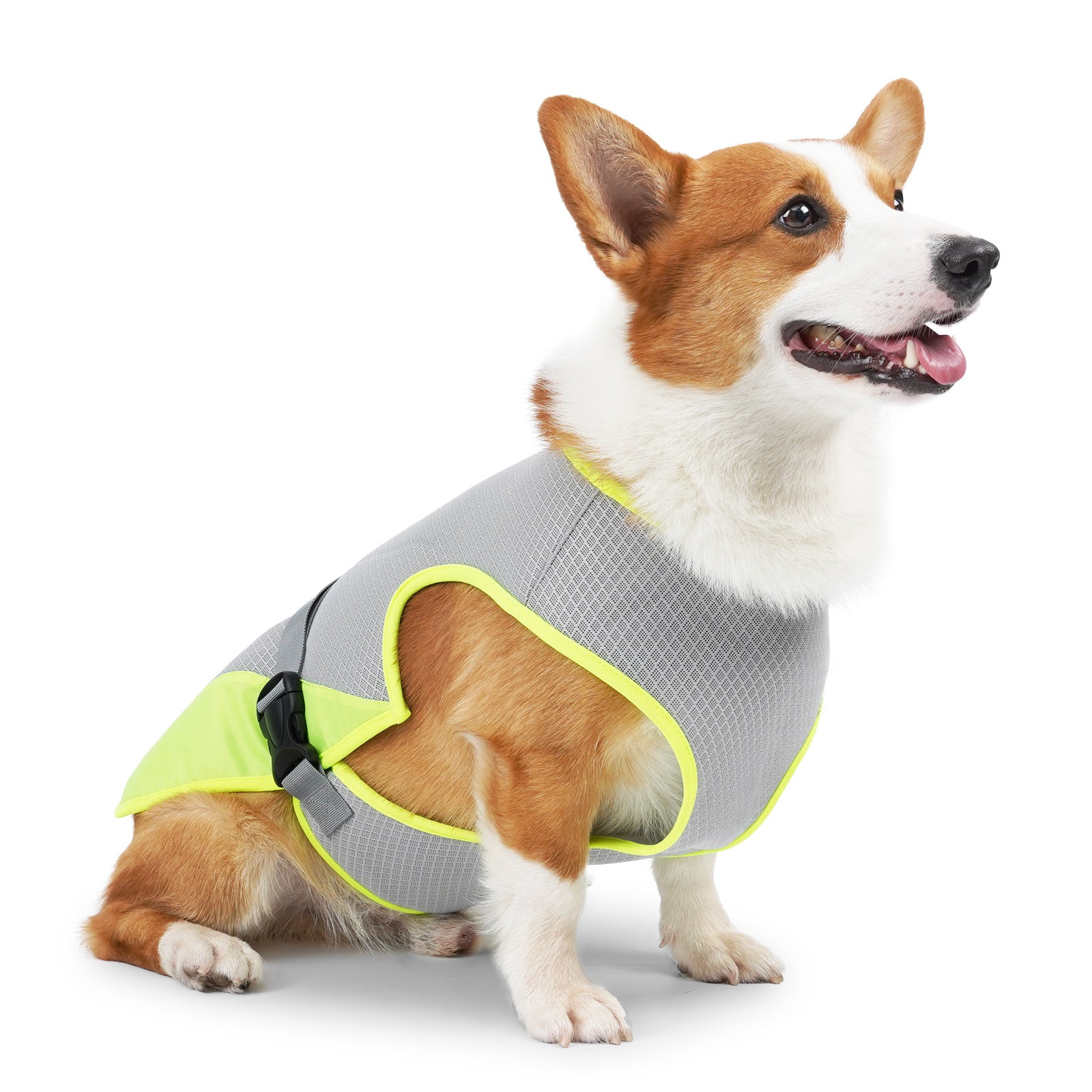 Dog Cooling Vest — Lightweight Summer Harness for Heat Relief, Sizes S–XL, 2 Colors