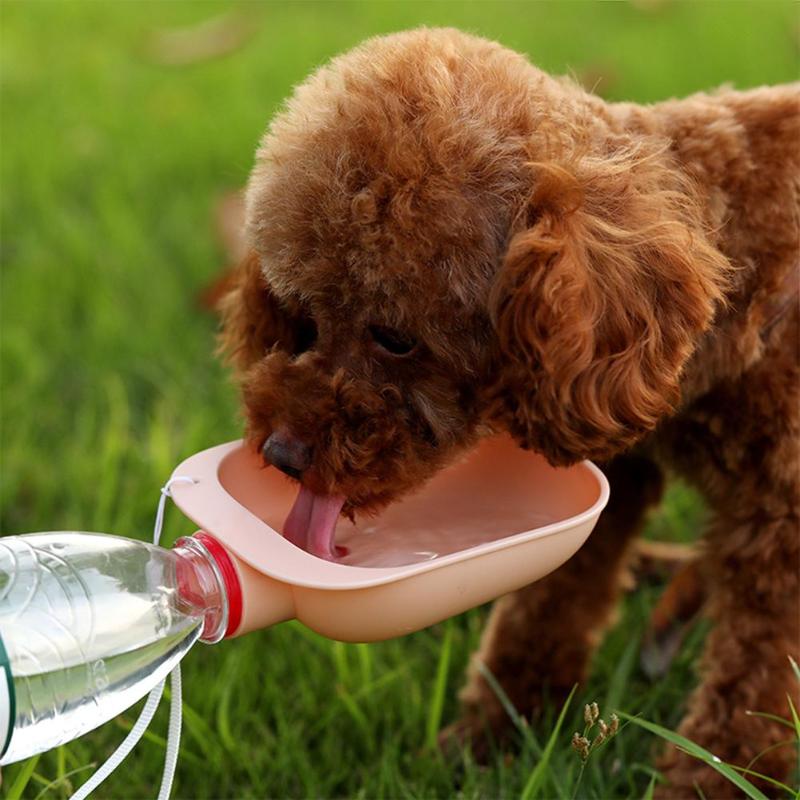 Portable Pet Water Bottle & Travel Bowl — 2-in-1, Leak-Proof, 5 Colors