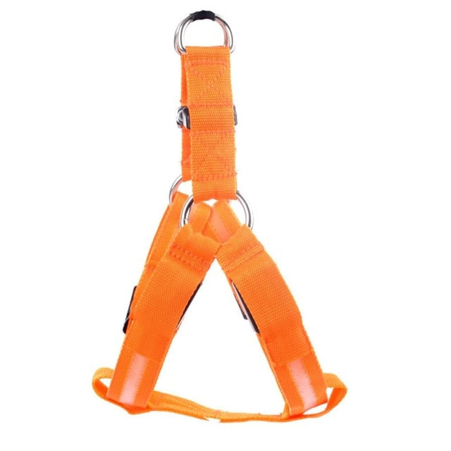 LED Light-Up Dog Harness — Nylon, 3 Flash Modes, 7 Colors, Sizes XS–XL