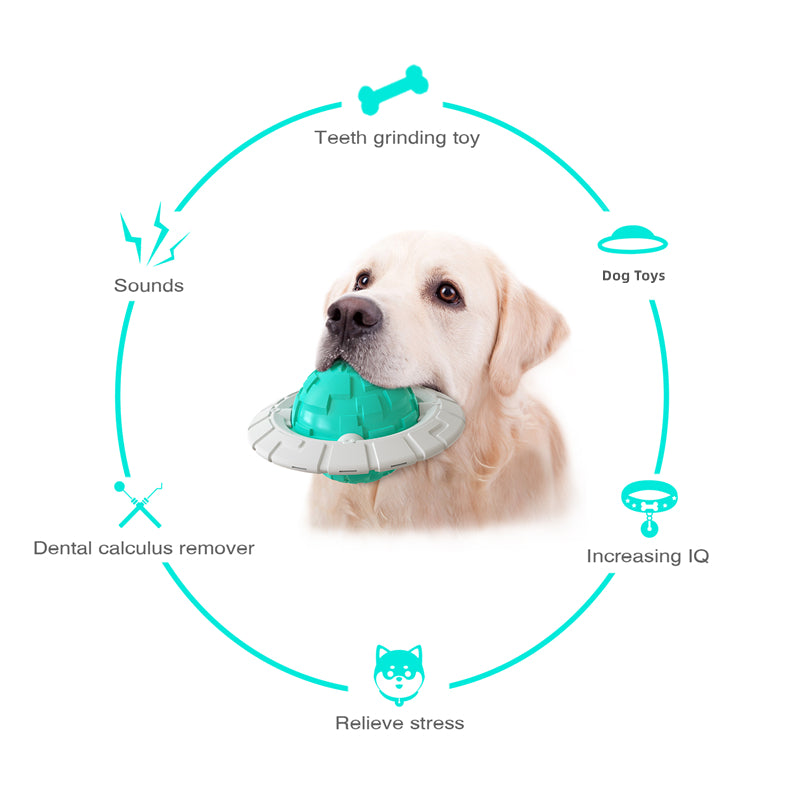 Interactive Dog Chew Toy — Squeaky Frisbee & Dental Grinding Ball, 3 Colors
