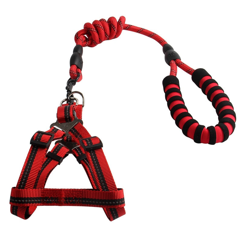 Reflective Nylon Dog Leash & Vest Harness Set — 4ft, 3 Widths, 5 Colors, Large Dogs