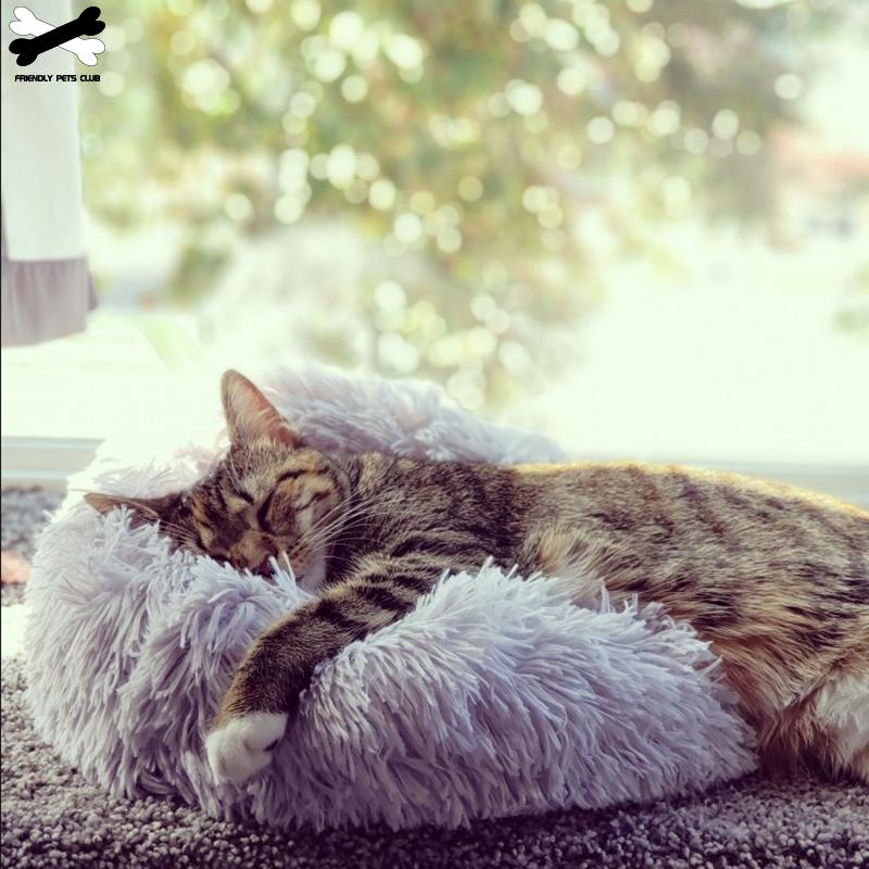 Donut Pet Bed — Ultra-Soft Corduroy, Washable, 3 Sizes, 8+ Colors
