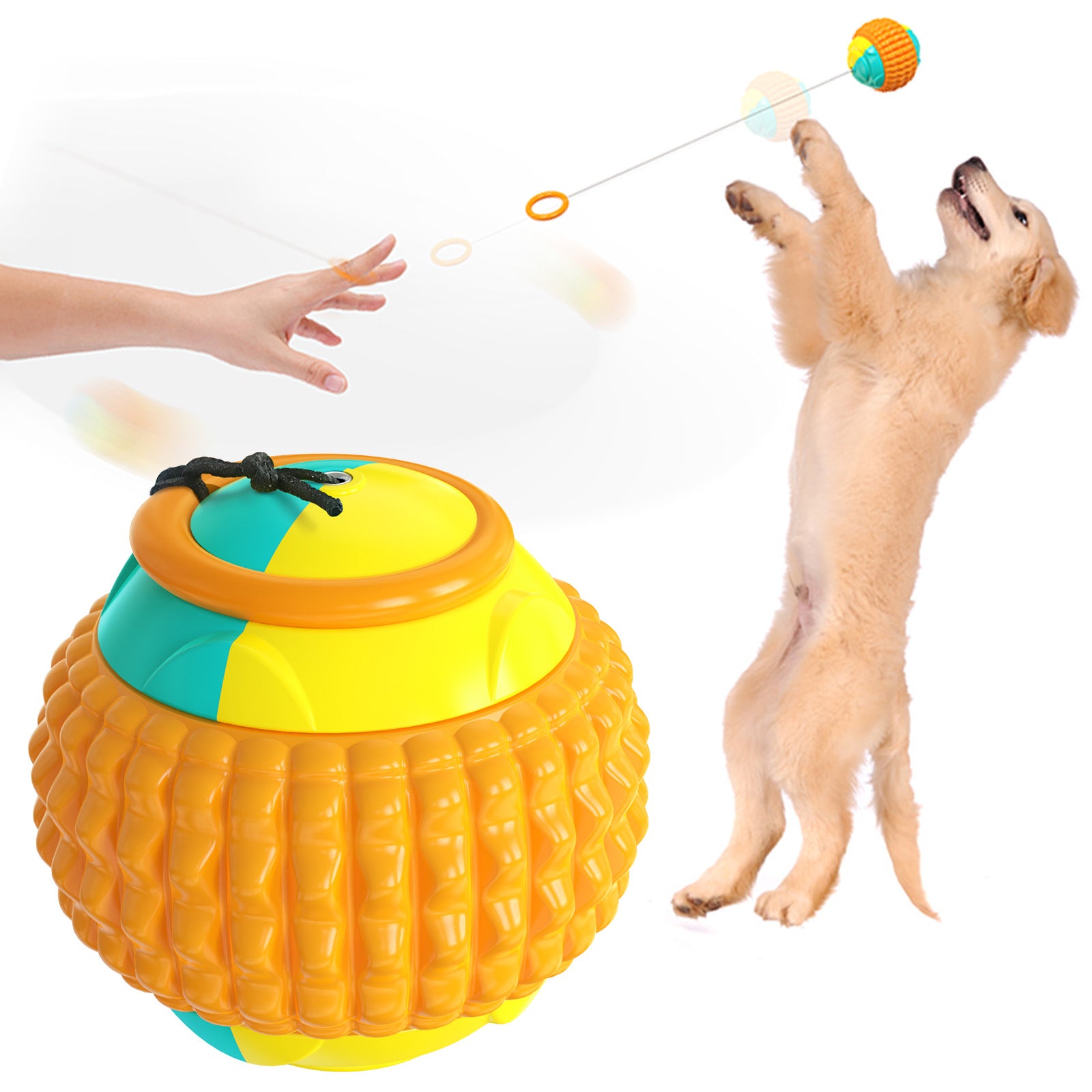 Plastic Throwing Molar Ball Dog Toy — Bite-Resistant, Hand Throw, Blue or Orange