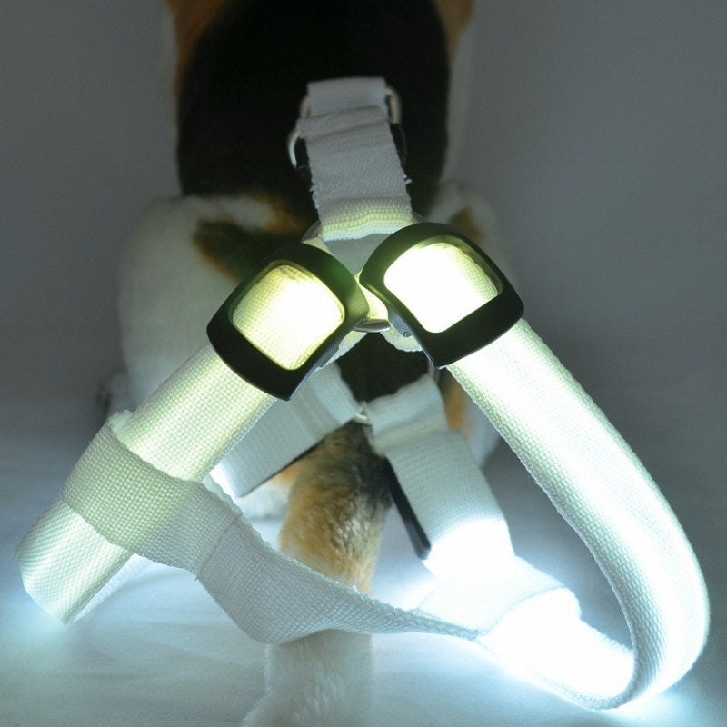 LED Light-Up Dog Harness — Nylon, 3 Flash Modes, 7 Colors, Sizes XS–XL