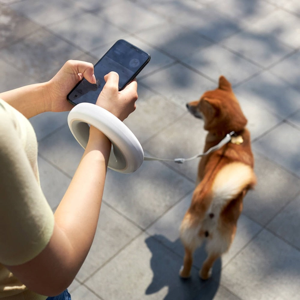 Retractable Dog Leash with LED Light — 2.6m, 60kg Tension, Ergonomic Ring Grip