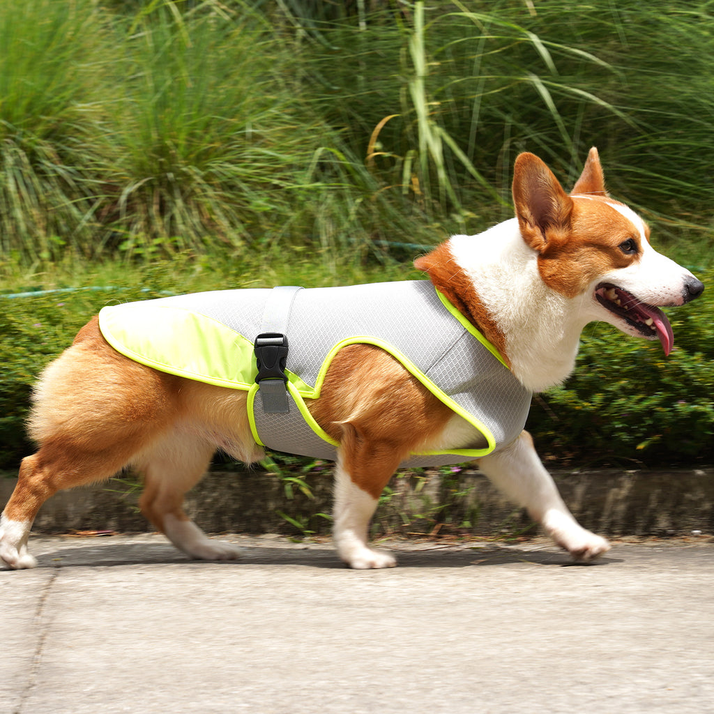 Dog Cooling Vest — Lightweight Summer Harness for Heat Relief, Sizes S–XL, 2 Colors