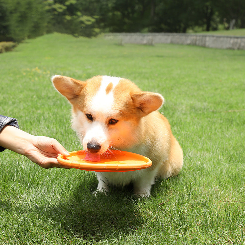 Soft Dog Frisbee — Bite-Resistant, Floating, 3 Sizes & 3 Colors