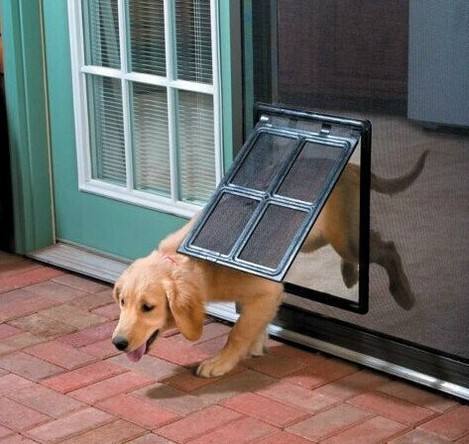 Magnetic Self-Closing Pet Screen Door — No-Cut Install, Two-Way Access, S & L Sizes