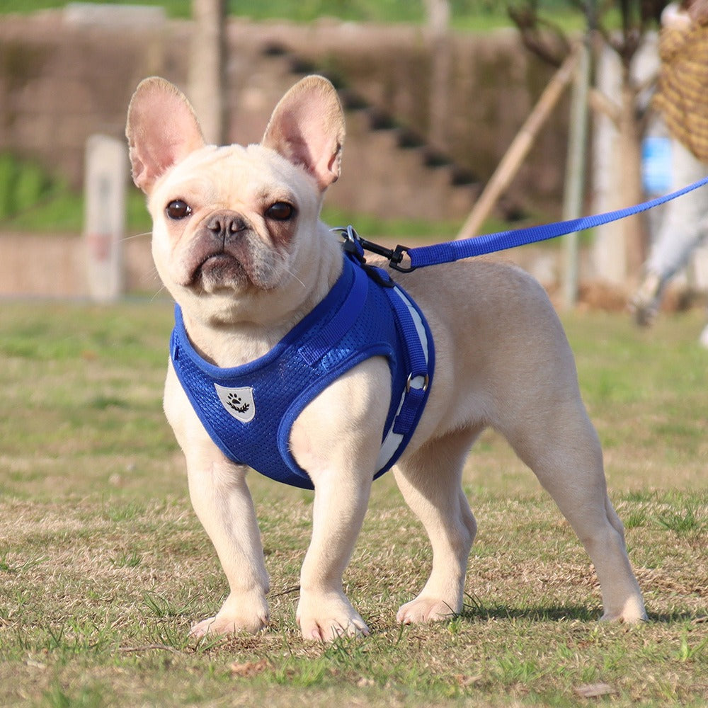 Reflective Breathable Dog Harness Vest with Leash – Polyester Mesh No-Pull Chest Strap | XS–XL