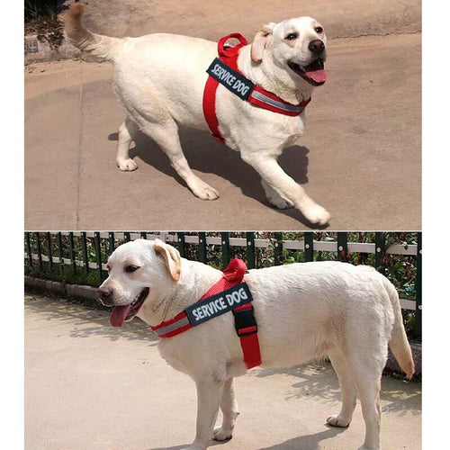 Adjustable Dog Harness Vest — Soft Padded, 3 Colors, Sizes S–XXL