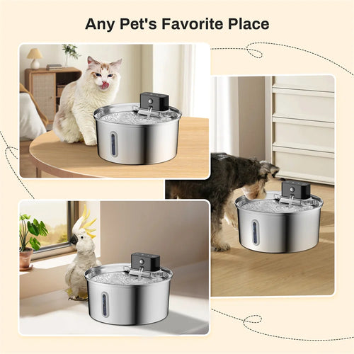 3.2L Wireless Smart Pet Water Fountain — 304 Stainless Steel, Motion Sensing