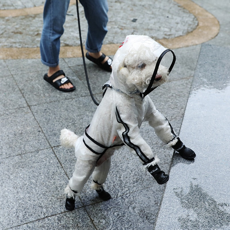Transparent Dog Raincoat — Lightweight Waterproof Coat, White, Sizes M–7XL