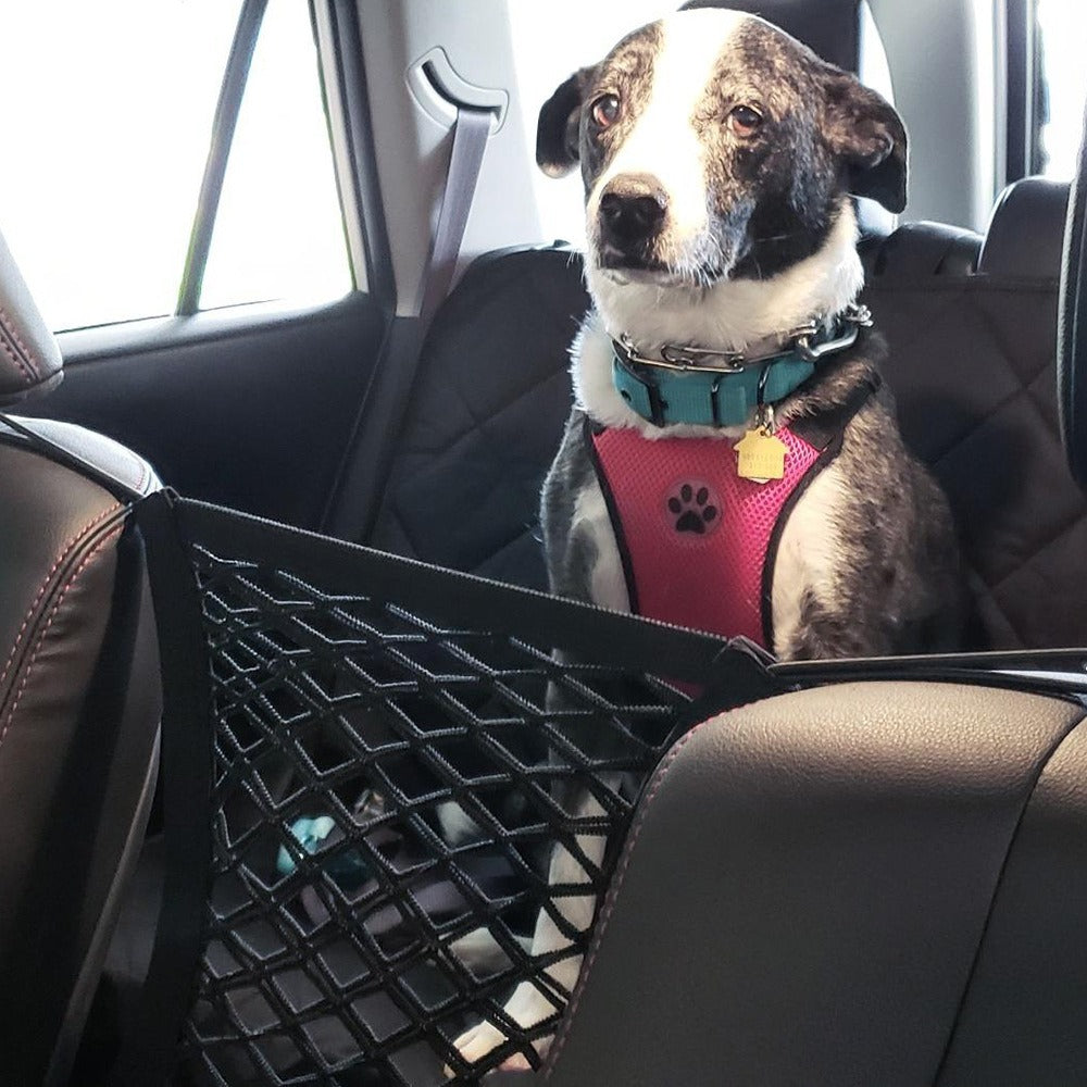 Pet Car Safety Isolation Net – Dog Car Barrier & Anti-Fall Protection Net