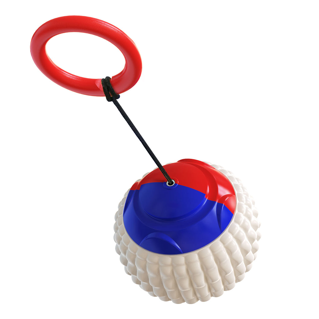 Plastic Throwing Molar Ball Dog Toy — Bite-Resistant, Hand Throw, Blue or Orange
