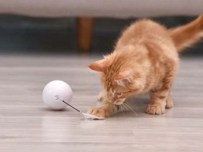 Automatic LED Rolling Cat Ball Toy — USB Rechargeable Smart Teaser