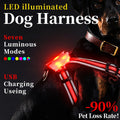 LED Light-Up Dog Harness – 7-Color Luminous Night Safety Vest for Small, Medium & Large Dogs