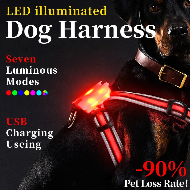 LED Light-Up Dog Harness – 7-Color Luminous Night Safety Vest for Small, Medium & Large Dogs