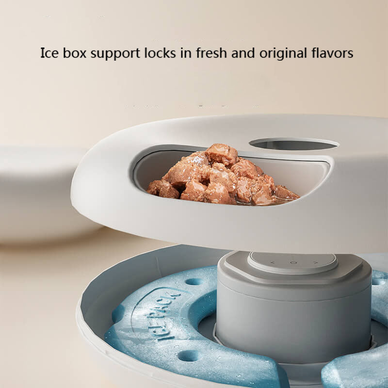 6-Meal Automatic Pet Feeder with Ice Pack Tray — Timed Wet & Dry Food Dispenser for Cats & Dogs