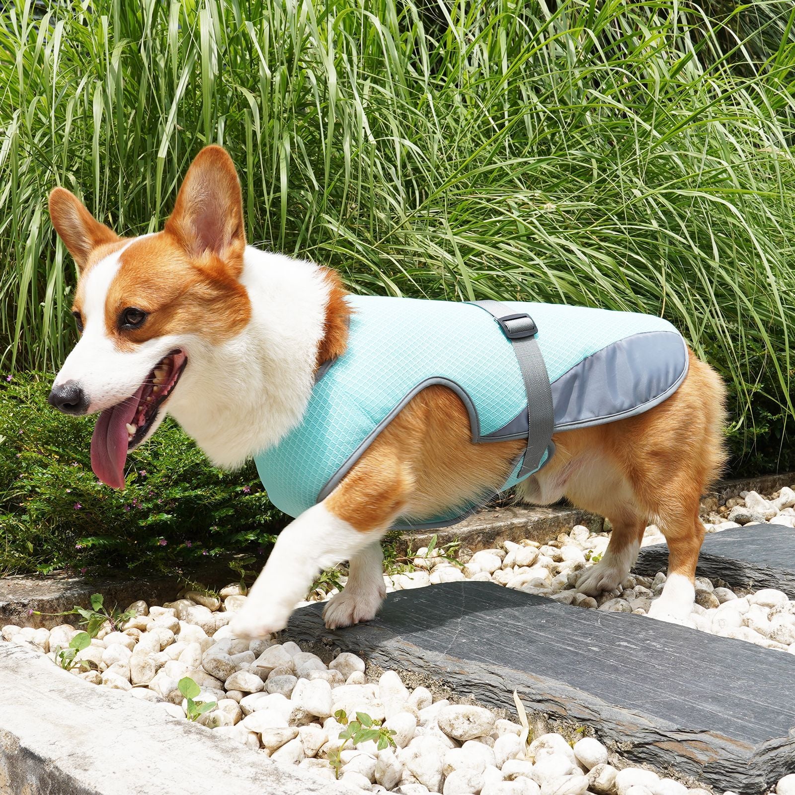 Dog Cooling Vest — Lightweight Summer Harness for Heat Relief, Sizes S–XL, 2 Colors