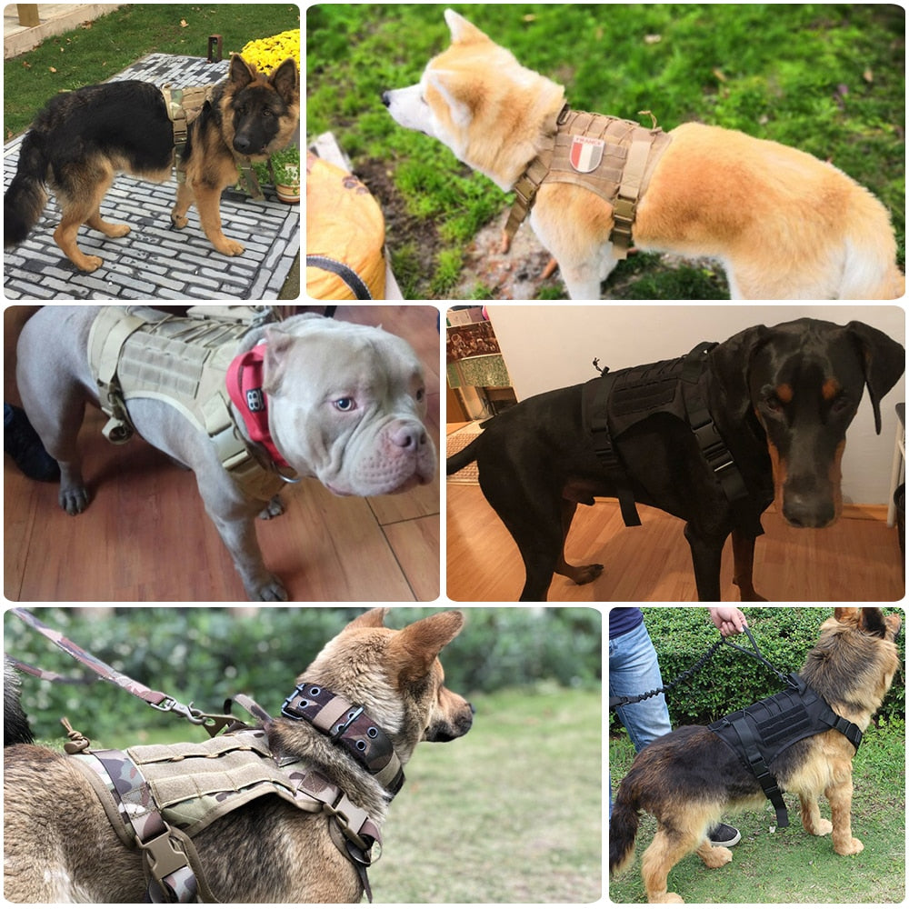 Tactical Dog Harness — 1000D Nylon, MOLLE System, 4 Colors, Sizes M–XL