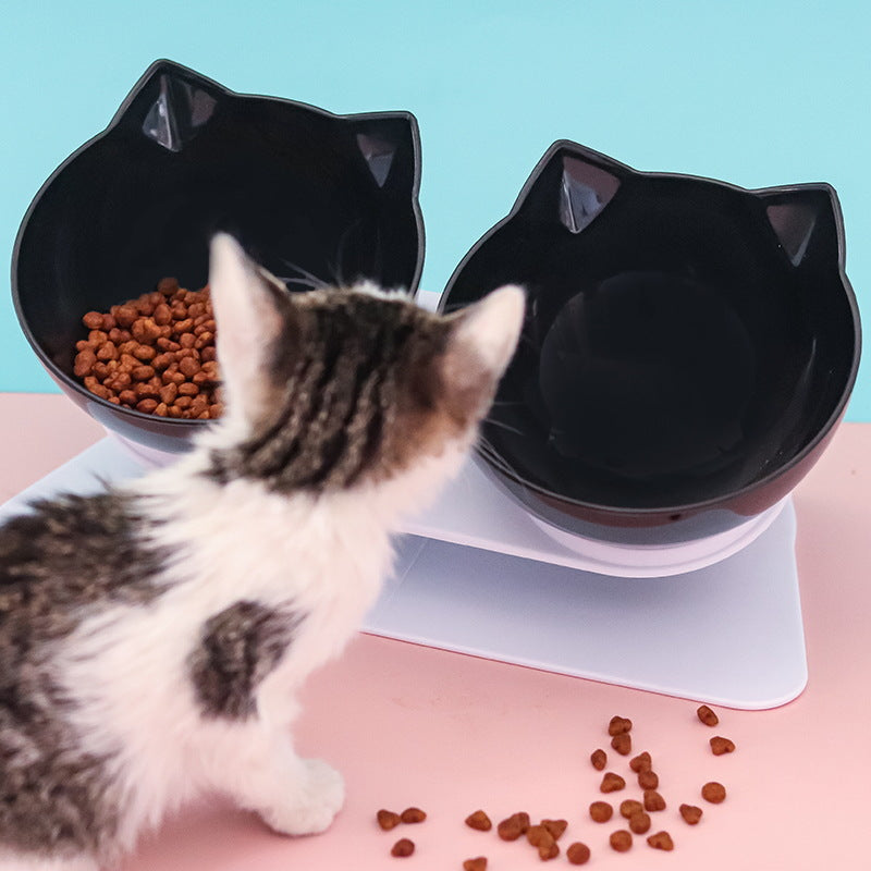 Tilted Double Pet Bowl — Anti-Tip, Non-Slip, Food & Water Together, 7 Styles