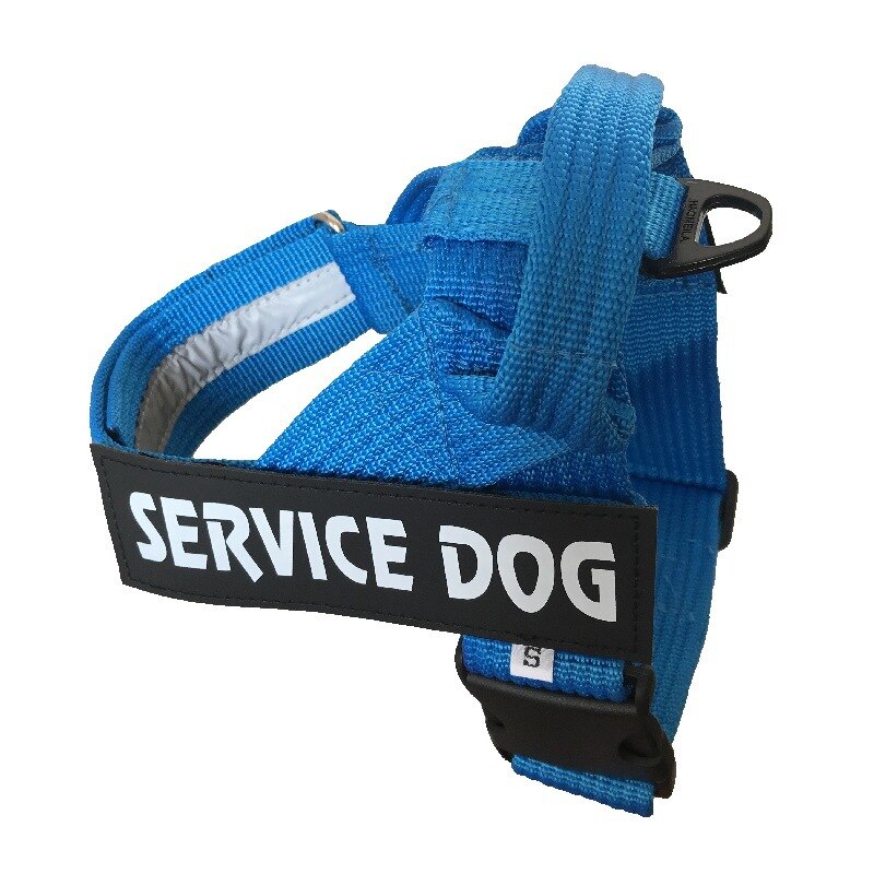 Adjustable Dog Harness Vest — Soft Padded, 3 Colors, Sizes S–XXL