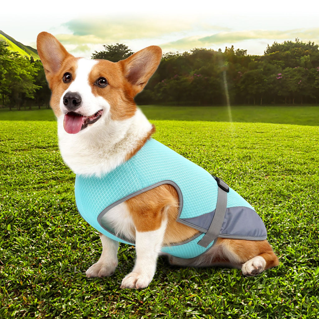 Dog Cooling Vest — Lightweight Summer Harness for Heat Relief, Sizes S–XL, 2 Colors