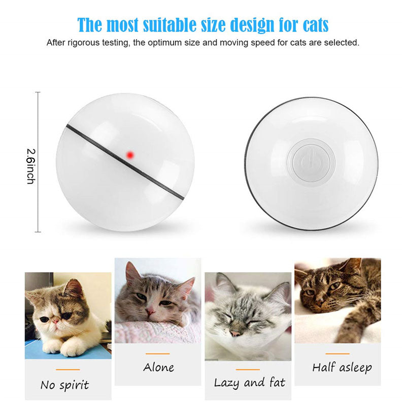 Smart Auto-Rolling LED Ball for Cats & Dogs — USB Rechargeable, 6.5cm, 3 Colors