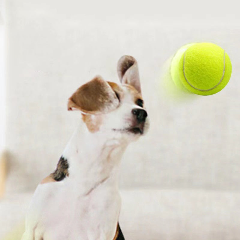 Rubber Tennis Ball Dog Toy — Bouncy Bite-Resistant Chew Ball, 6cm