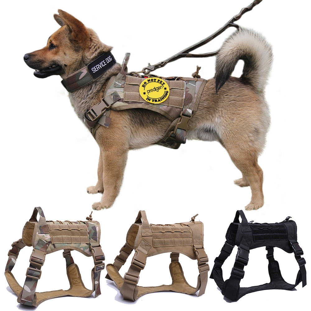 Tactical Dog Harness — 1000D Nylon, MOLLE System, 4 Colors, Sizes M–XL