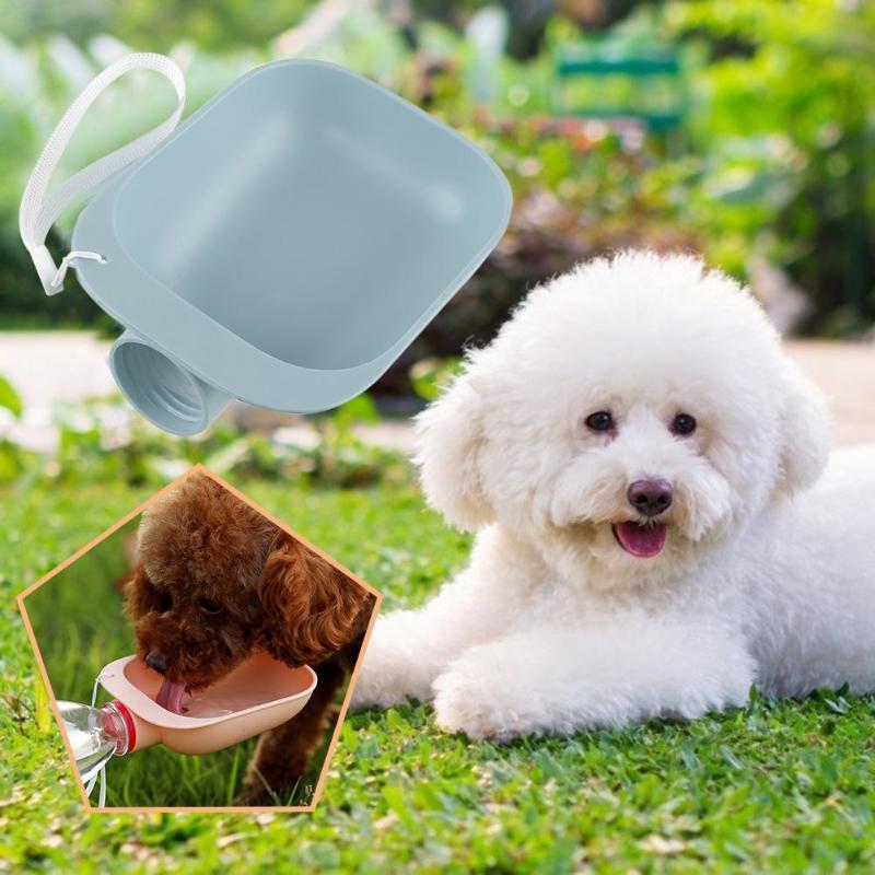 Portable Pet Water Bottle & Travel Bowl — 2-in-1, Leak-Proof, 5 Colors