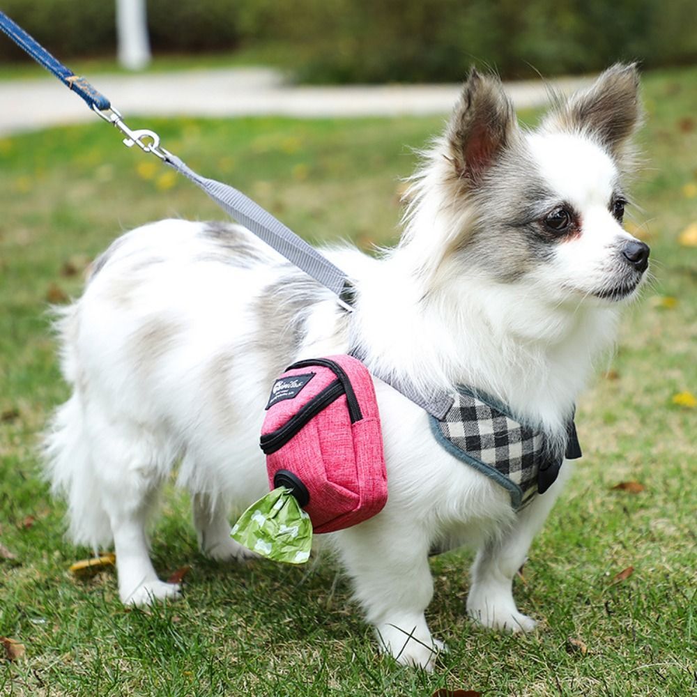 Dog Treat Pouch & Poop Bag Dispenser — Waterproof Oxford, 6 Colors, Clip-On