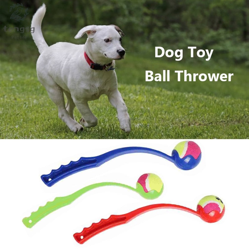 Dog Ball Launcher Thrower — 38cm PP, Fetch & Retrieve Training, 3 Colors
