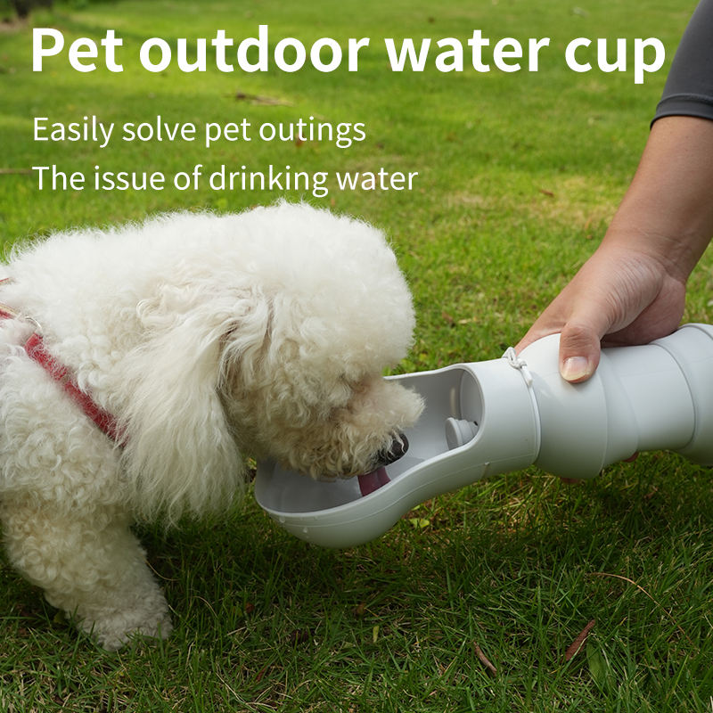 Foldable Dog Travel Water Bottle — 550ml BPA-Free Silicone, Spherical or Column