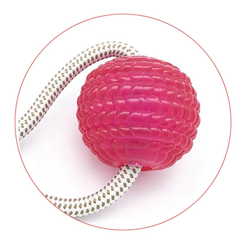 Suction Cup Dog Chew Toy — TPR Rubber Molar Ball for Teeth Cleaning & Self-Play
