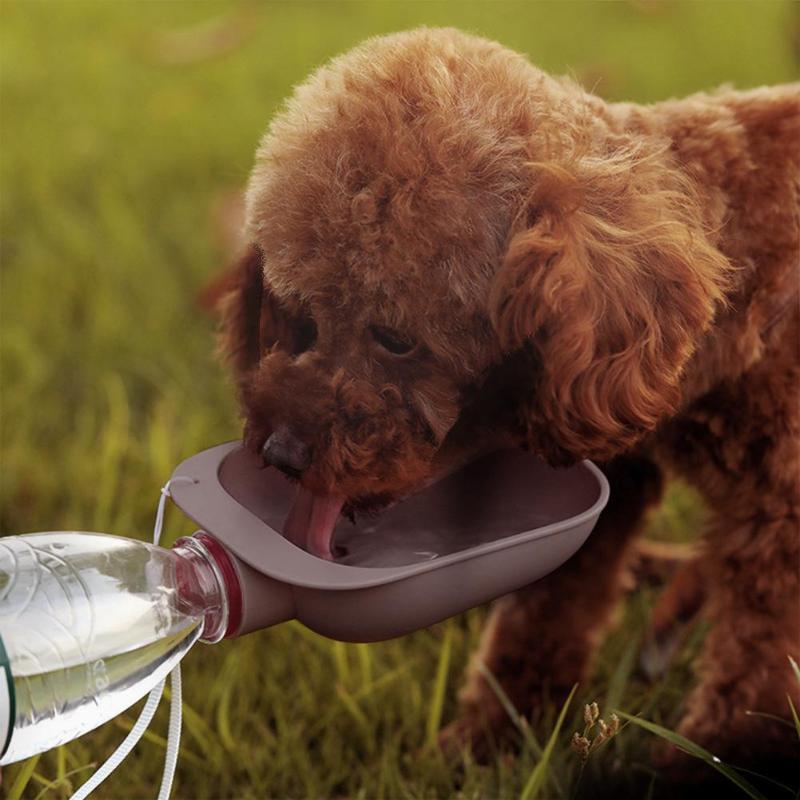 Portable Pet Water Bottle & Travel Bowl — 2-in-1, Leak-Proof, 5 Colors