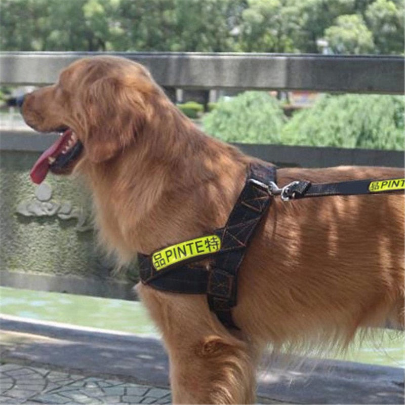 Reflective Chest Harness & Leash Set — Nylon, Black or Green, Sizes M/L/XL
