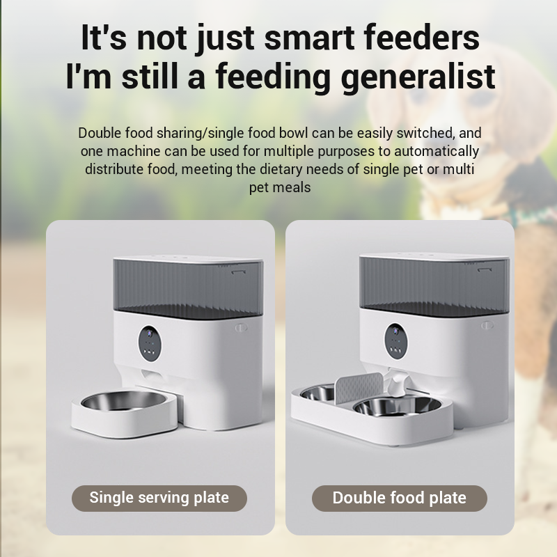 Automatic Pet Feeder with Timer for Cats & Dogs