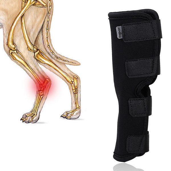 Dog Hock Brace — Neoprene Rear Leg Support Wrap for Dogs, Sizes S–XL