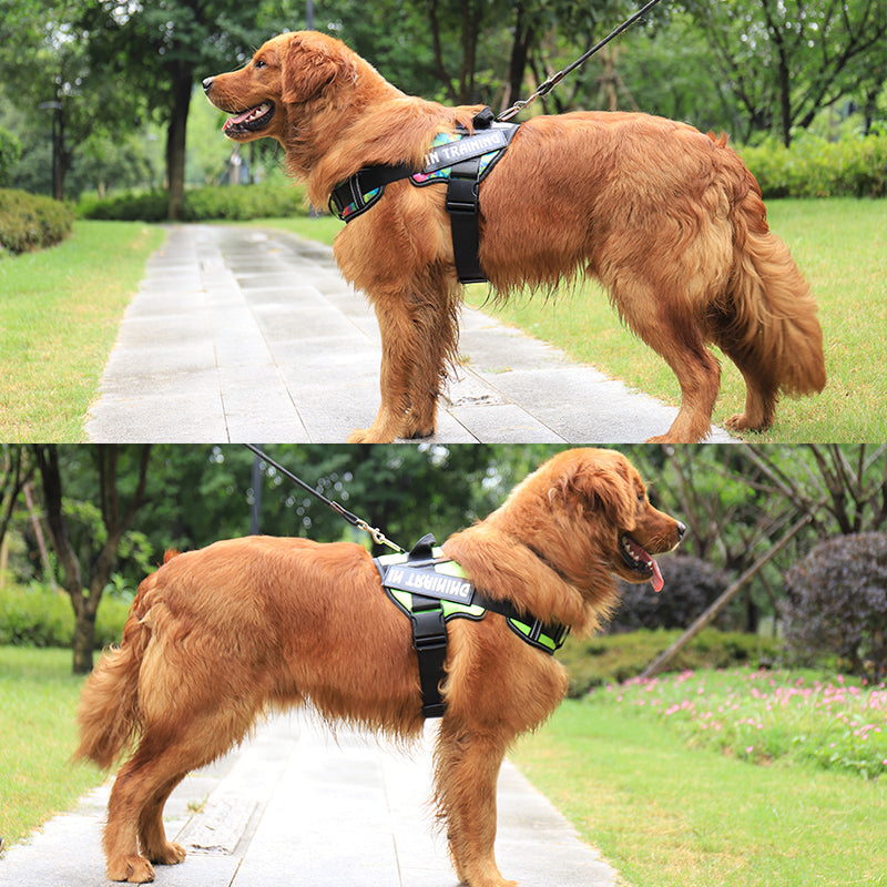 Reflective Dog Chest Harness — Breathable Nylon Vest with Neck Guard, 8 Colors, Sizes S–XL