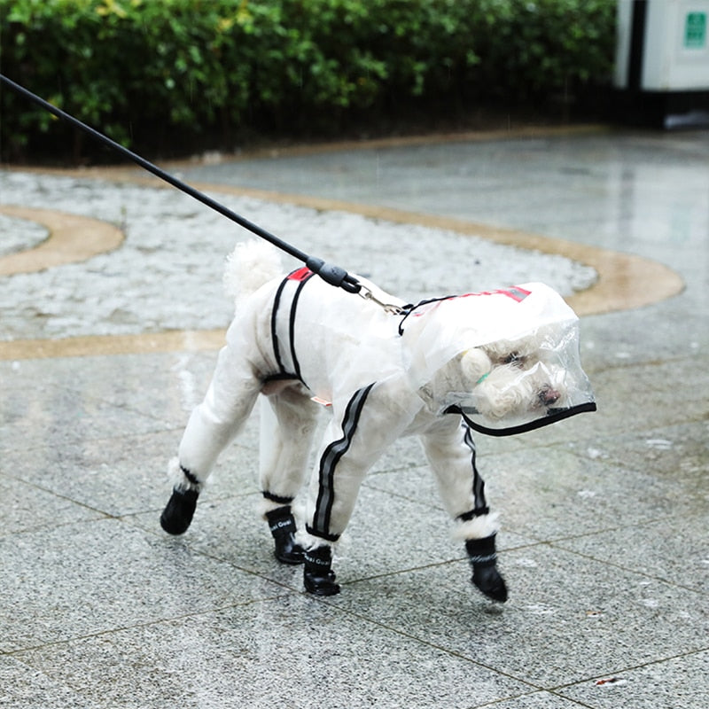 Transparent Dog Raincoat — Lightweight Waterproof Coat, White, Sizes M–7XL