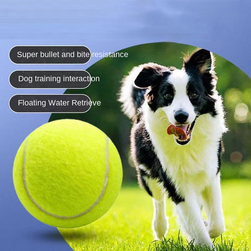 Rubber Tennis Ball Dog Toy — Bouncy Bite-Resistant Chew Ball, 6cm