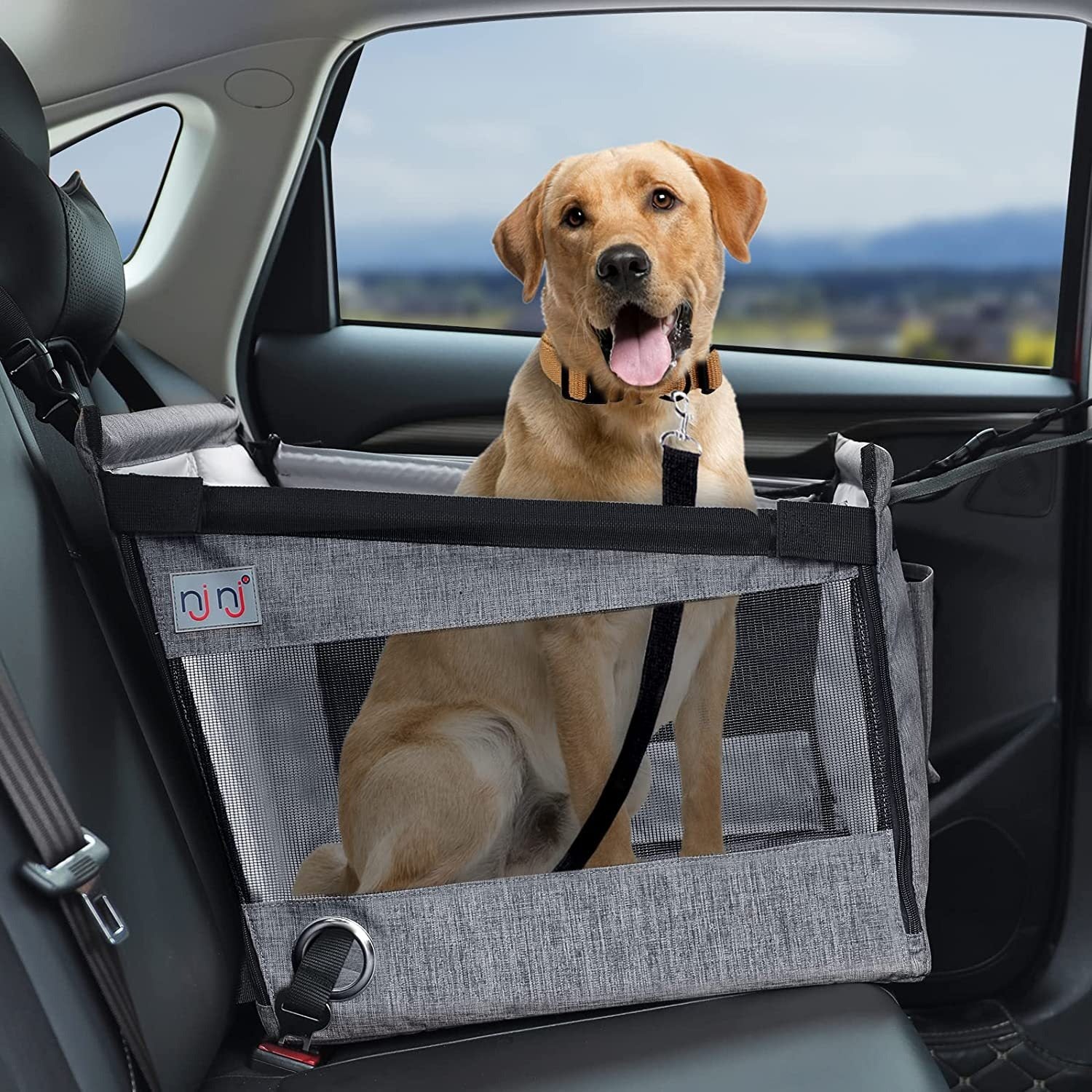Waterproof Car Rear Seat Pet Basket — Dog Travel Cage & Cushion