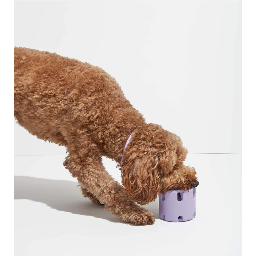 TPR Tennis Cup Dog Toy – Durable Chew & Fetch Toy for Dogs