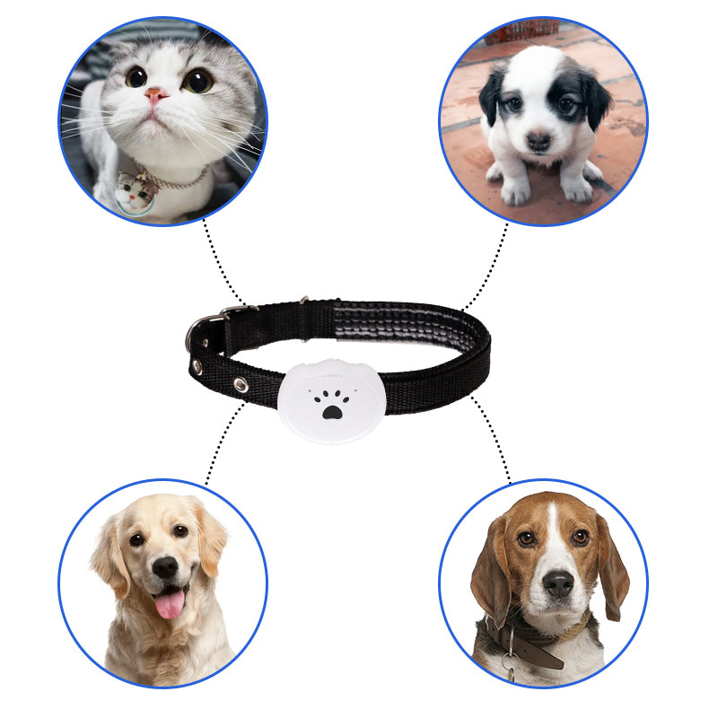 Pet GPS Tracker G9 — 5–20m Positioning Accuracy, Anti-Loss, Black or White