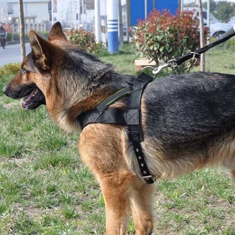 Reflective Chest Harness & Leash Set — Nylon, Black or Green, Sizes M/L/XL