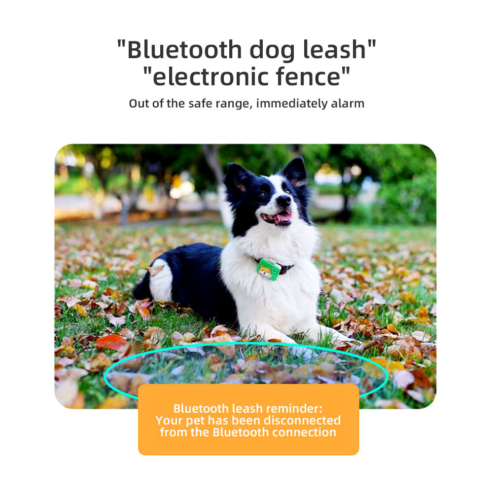 NB-IoT Pet Locator — Electronic Geofence, Real-Time Monitoring, 10m GPS Accuracy