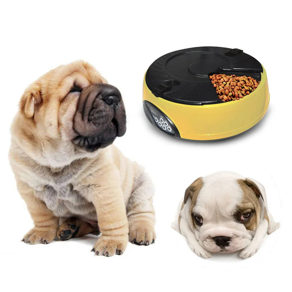 6-Meal Timed Pet Feeder — Voice Recording, 330ml Per Tray, 5 Colors